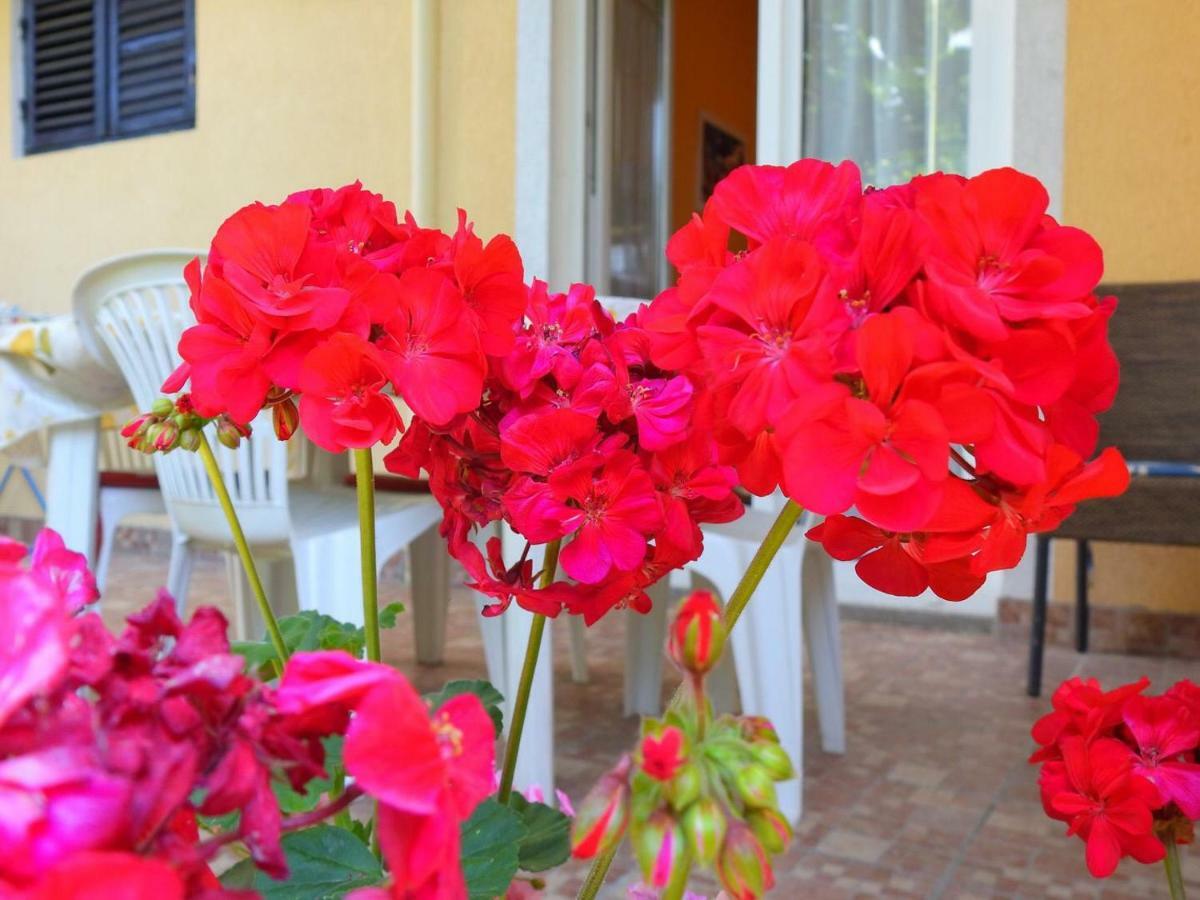 Apartment Girasole Rovinj Exterior foto